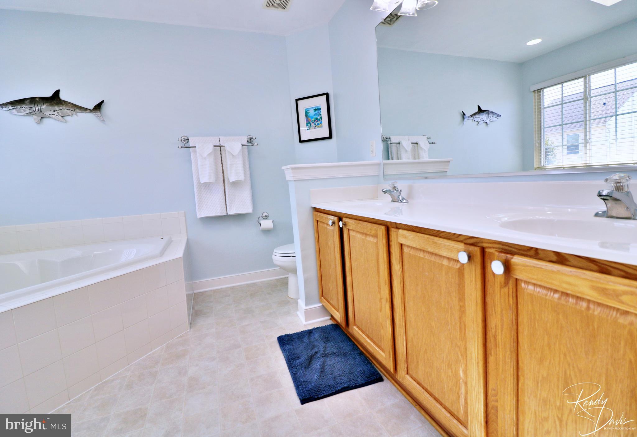 66 Watercourse Drive Ranson, WV 25438 - Photo 45 of 82 Primary Bath with Skylight