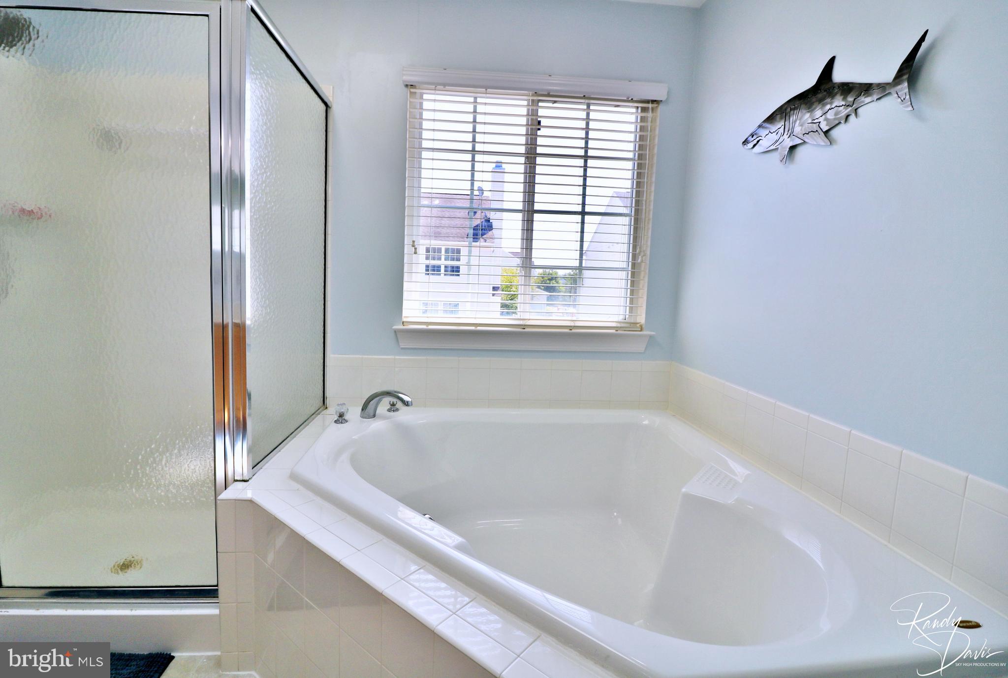 66 Watercourse Drive Ranson, WV 25438 - Photo 47 of 82 Soaking Tub in Primary Bath