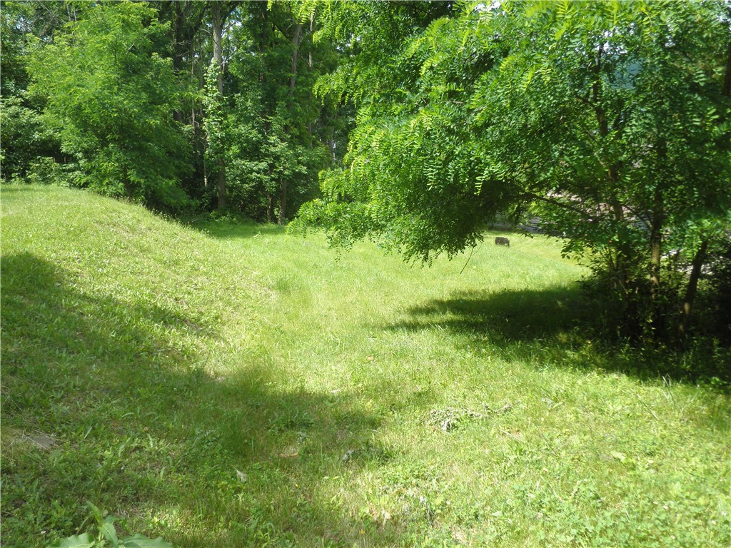 0 East Lake Road Honeoye, NY 14471 - Photo 6 of 11