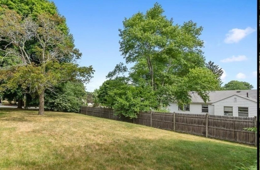 43 Montview Road Chelmsford, MA 01824 - Photo 39 of 40 a view of a backyard with a tree
