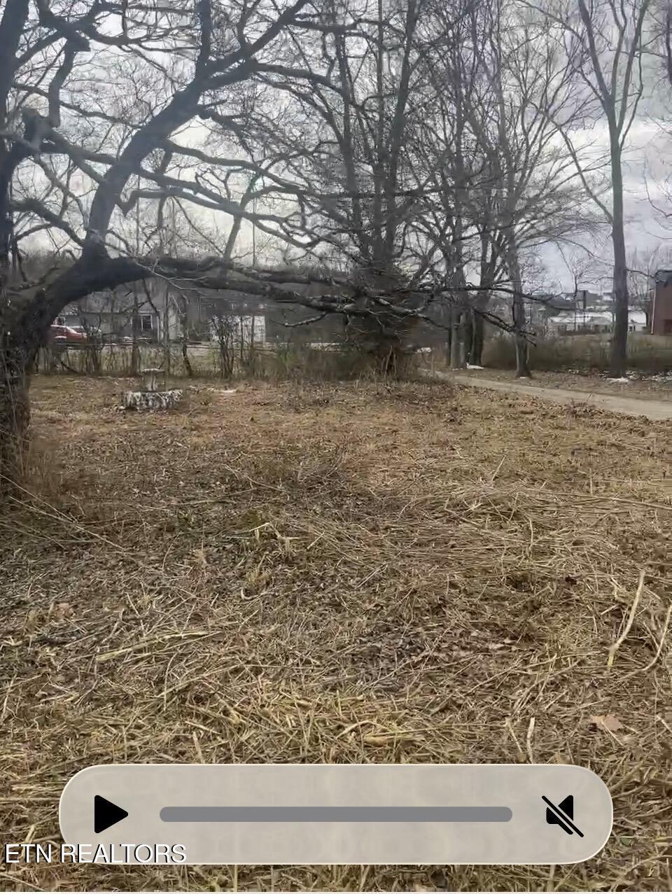 6309 Ball Road Knoxville, TN 37931 - Photo 5 of 5 IMG_1759