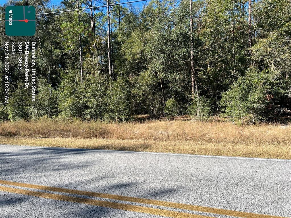Tbd Southwest Breezy Point Drive Dunnellon, FL 34431 - Photo 1 of 1 a view of a yard and road