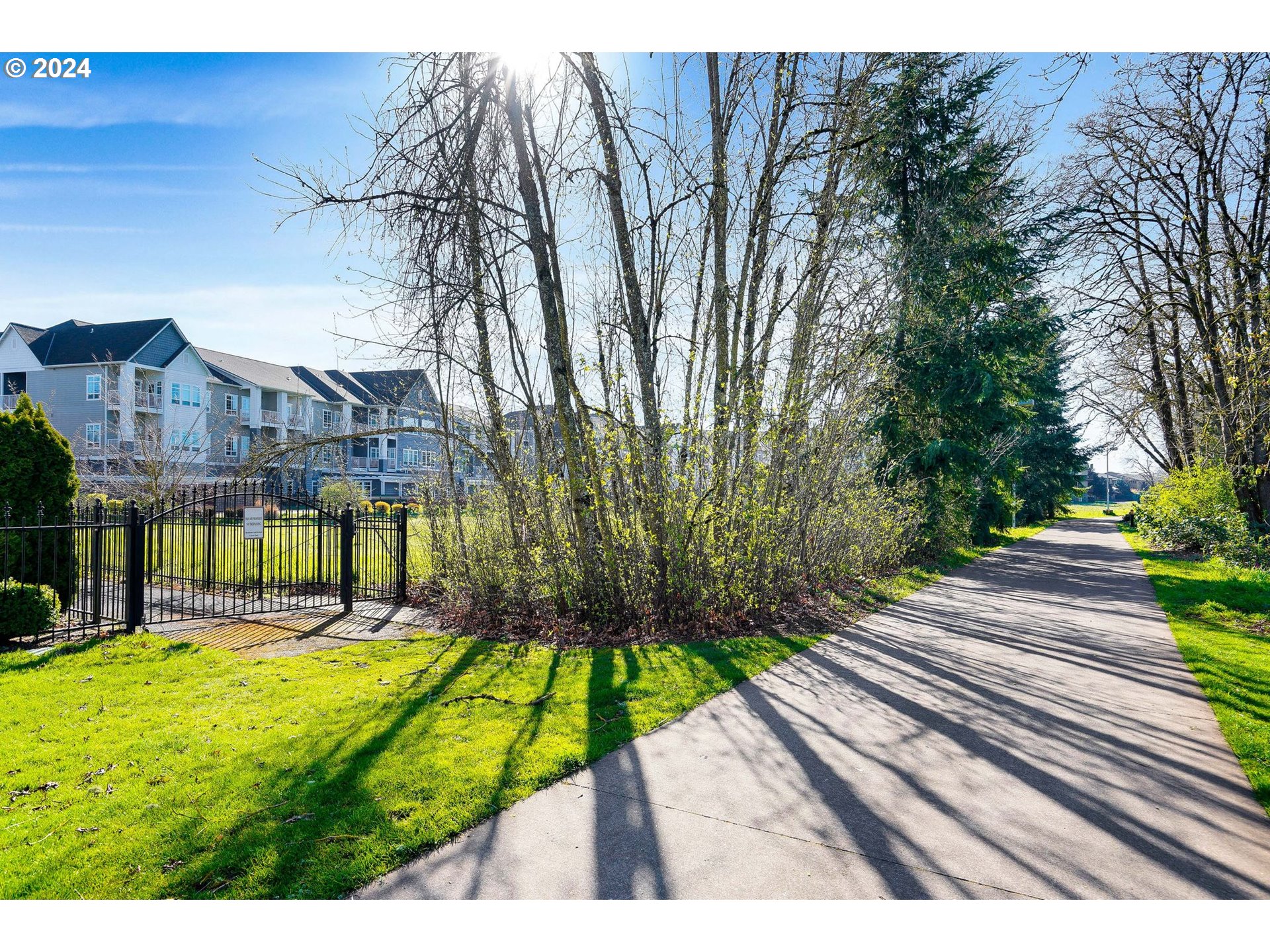 652 Wimbledon Court Eugene, OR 97401 - Photo 28 of 35 a view of a yard with plants and trees