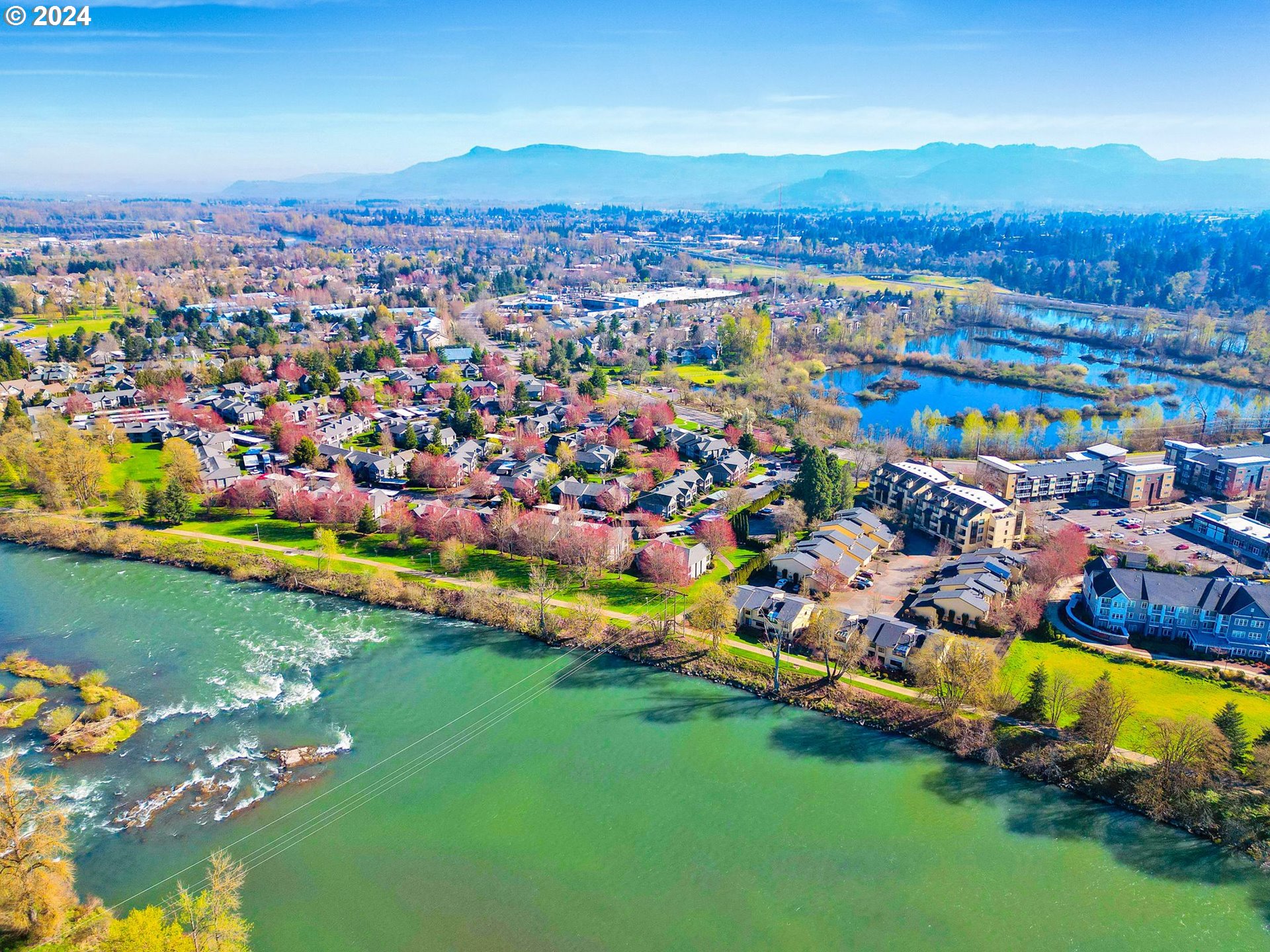 652 Wimbledon Court Eugene, OR 97401 - Photo 34 of 35 an aerial view of residential houses with outdoor space and swimming pool