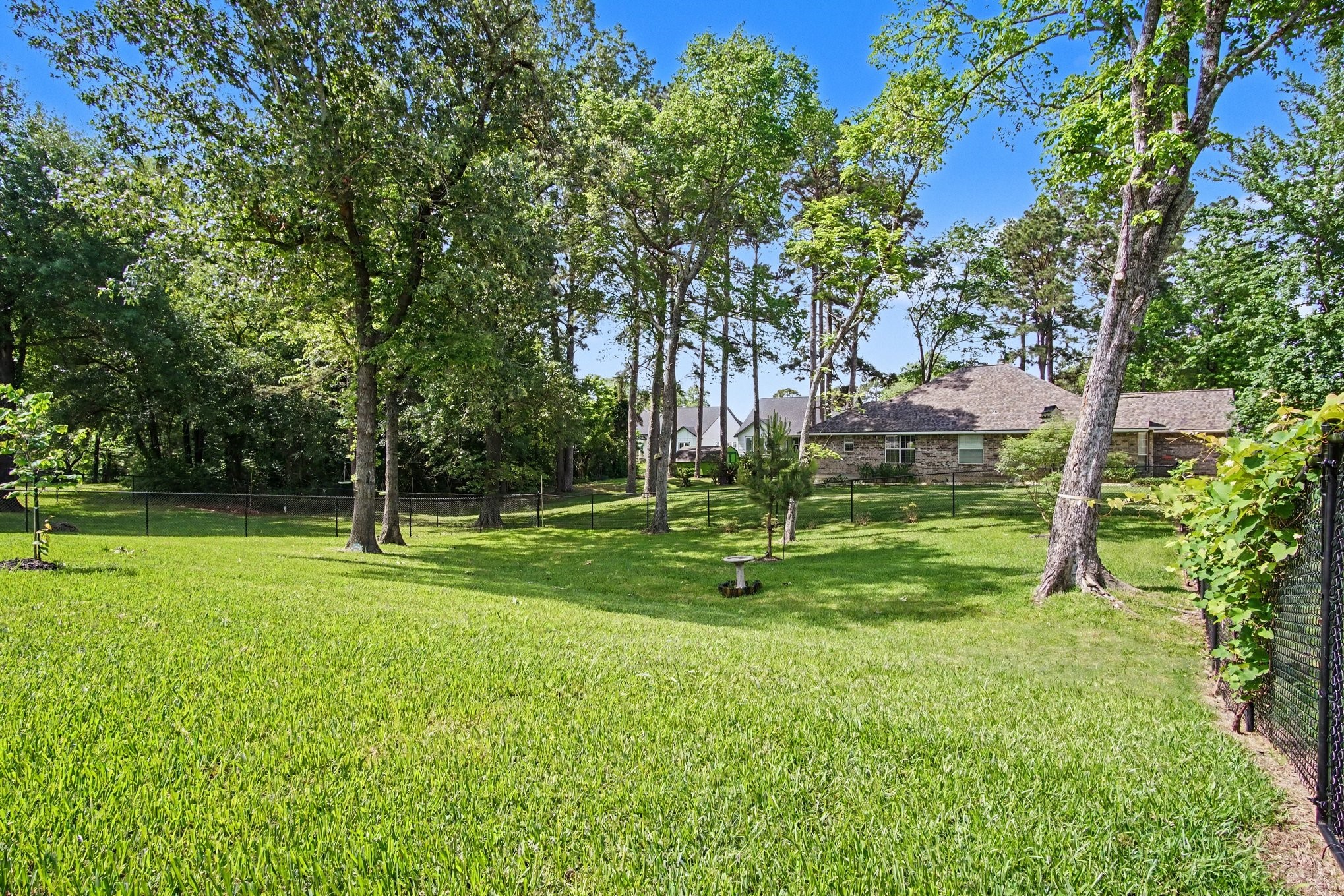 184 Bridgepoint Onalaska, TX 77360 - Photo 35 of 41 a view of a backyard with large trees
