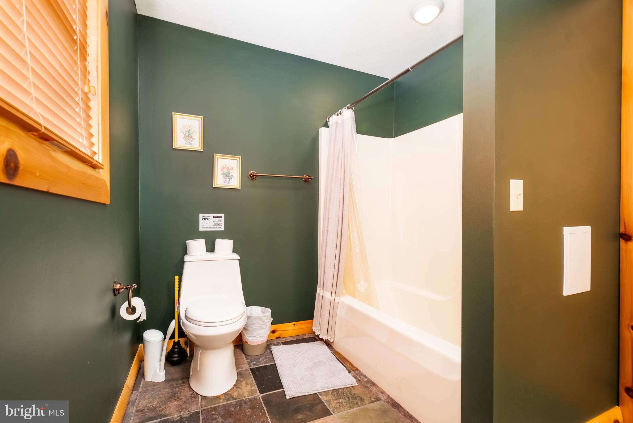 805 Hunters Ridge Drive Oakland, MD 21550 - Photo 30 of 63 Gallery Image 30