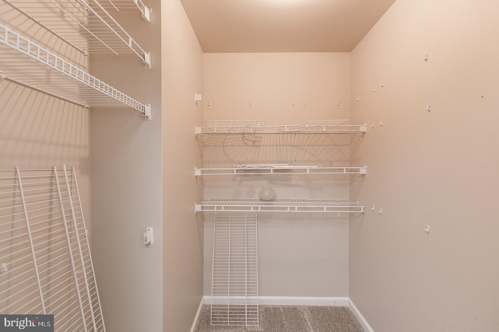 1029 Hunsicker Road Lancaster, PA 17601 - Photo 24 of 44 walk in closet