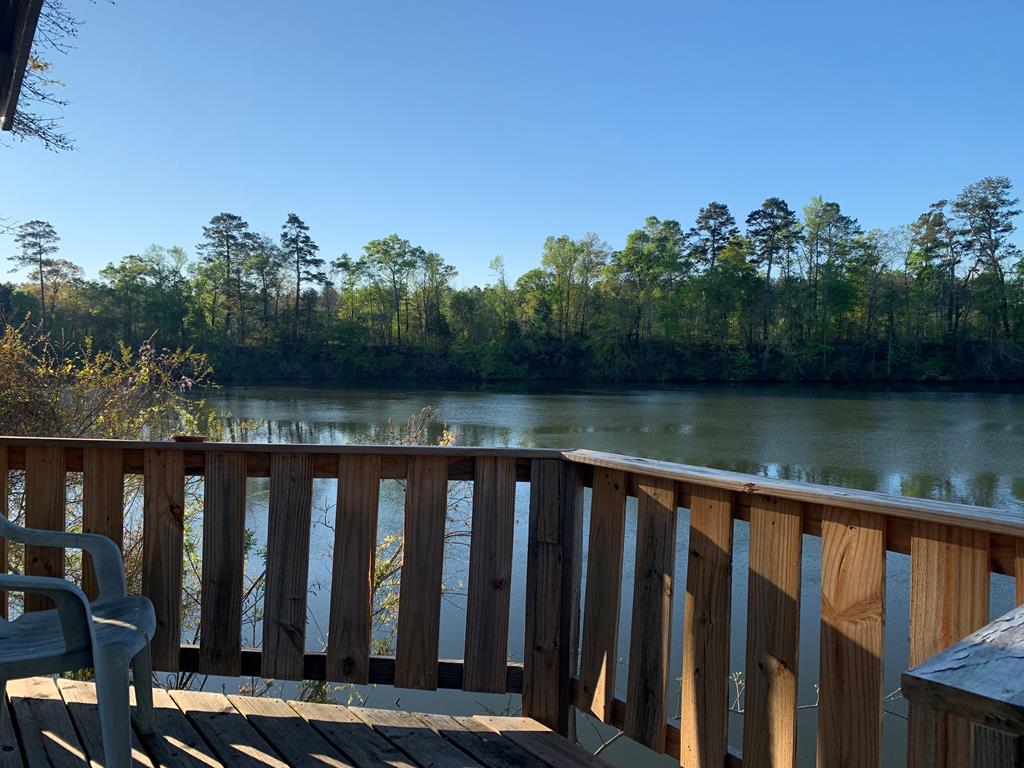 161 River Road Columbia, AL 36319 - Photo 9 of 13