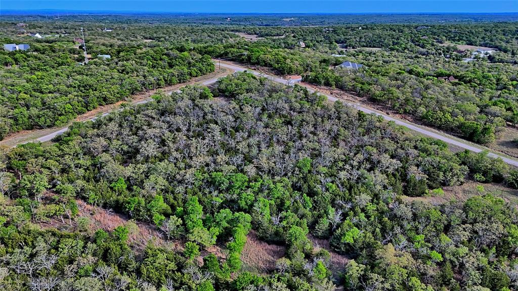 Tbd Horizon Ridge Court Sunset, TX 76270 - Photo 13 of 23