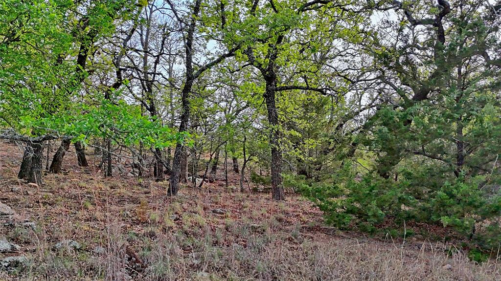 Tbd Horizon Ridge Court Sunset, TX 76270 - Photo 16 of 23