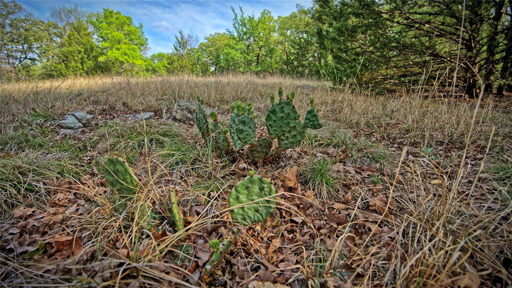 Tbd Horizon Ridge Court Sunset, TX 76270 - Photo 17 of 23