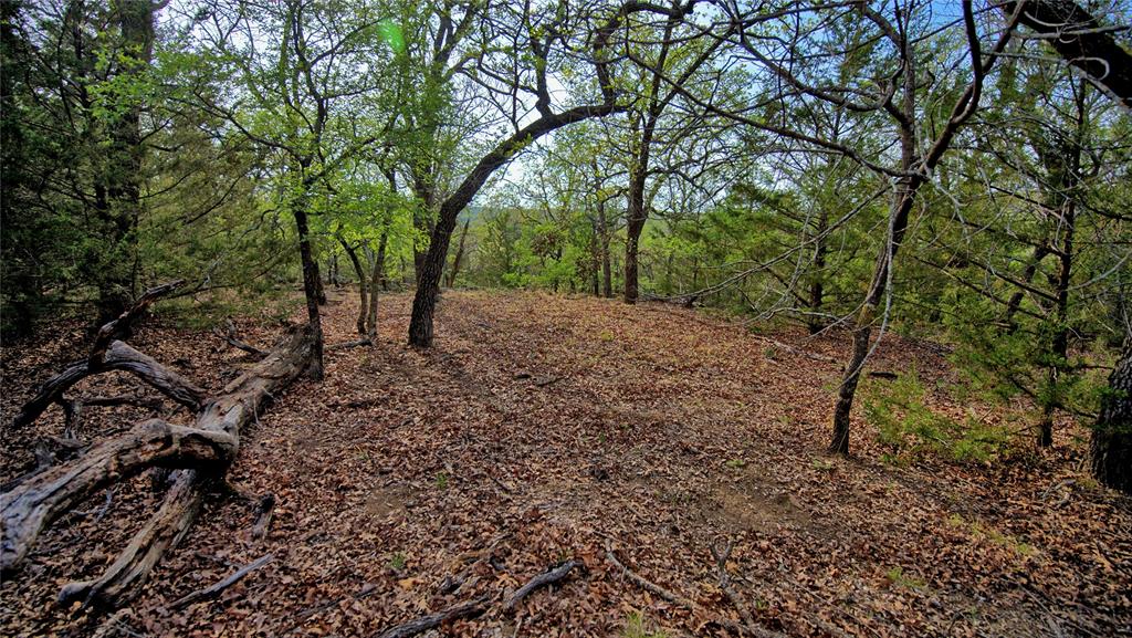 Tbd Horizon Ridge Court Sunset, TX 76270 - Photo 18 of 23
