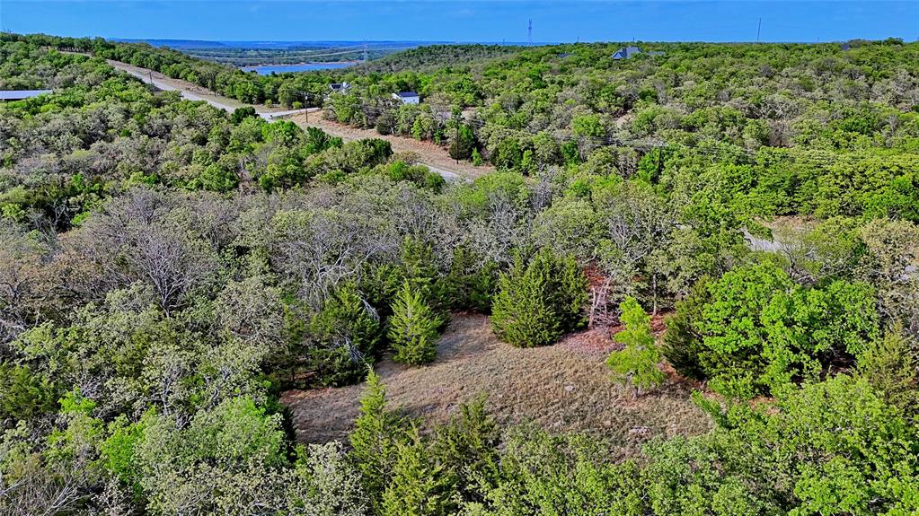 Tbd Horizon Ridge Court Sunset, TX 76270 - Photo 3 of 23
