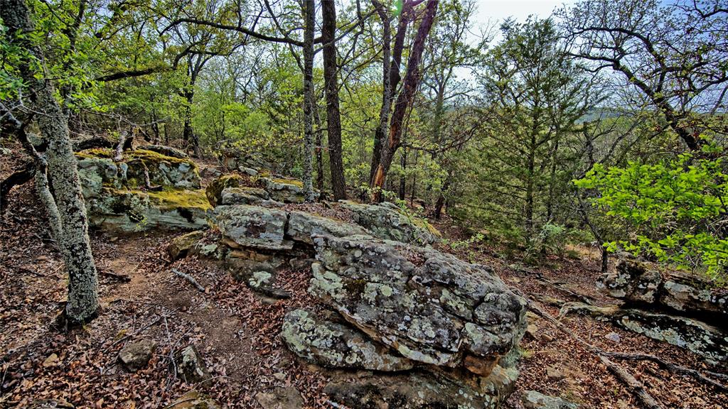Tbd Horizon Ridge Court Sunset, TX 76270 - Photo 7 of 23