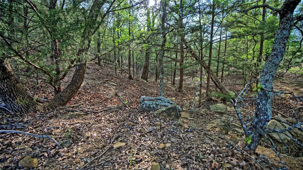 Tbd Horizon Ridge Court Sunset, TX 76270 - Photo 8 of 23
