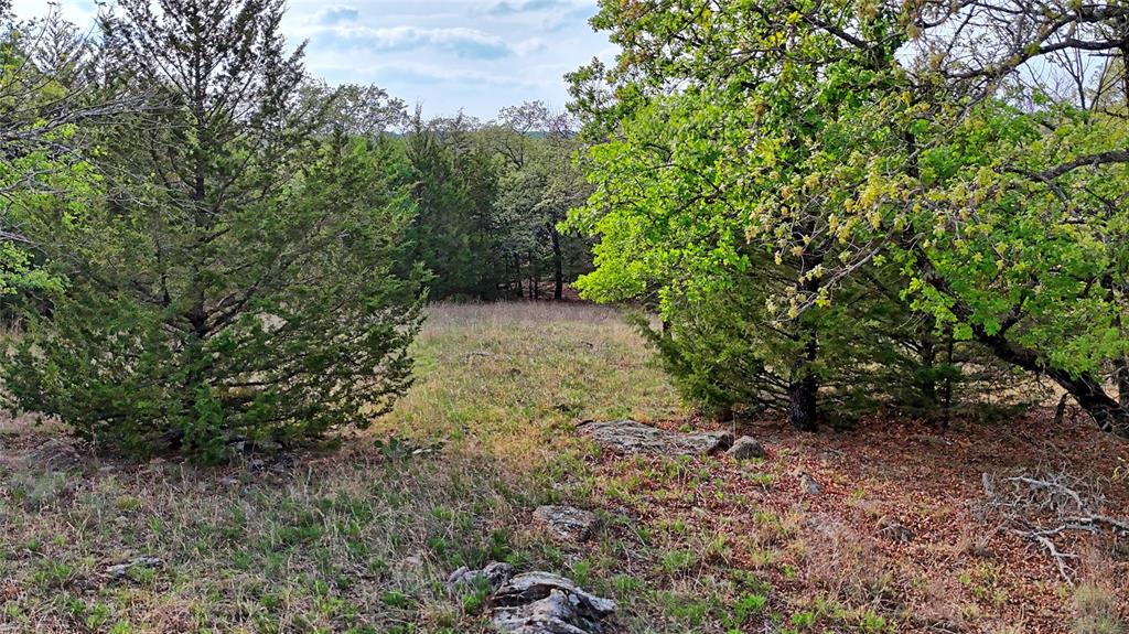 Tbd Horizon Ridge Court Sunset, TX 76270 - Photo 9 of 23