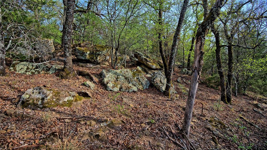 Tbd Horizon Ridge Court Sunset, TX 76270 - Photo 10 of 23