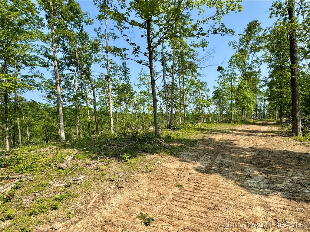 3 Co Rd 375 S French Lick, IN 47432 - Photo 11 of 26