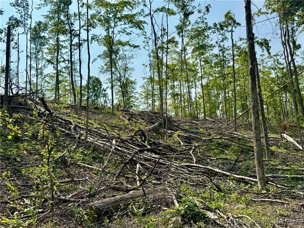3 Co Rd 375 S French Lick, IN 47432 - Photo 14 of 26