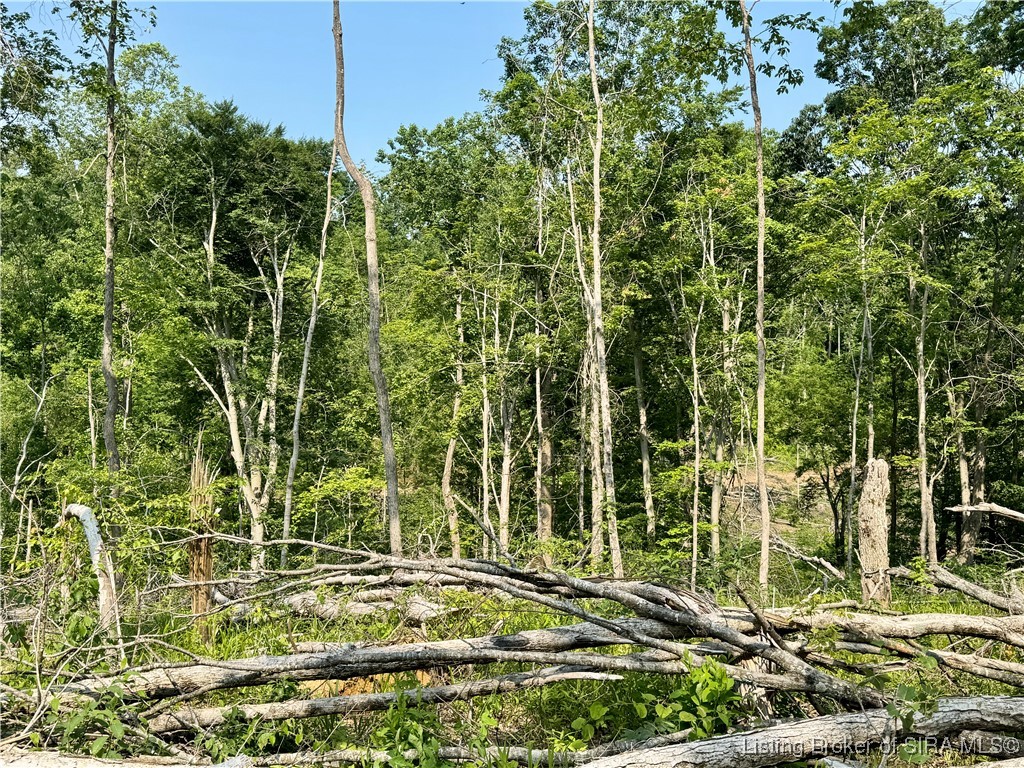 3 Co Rd 375 S French Lick, IN 47432 - Photo 15 of 26