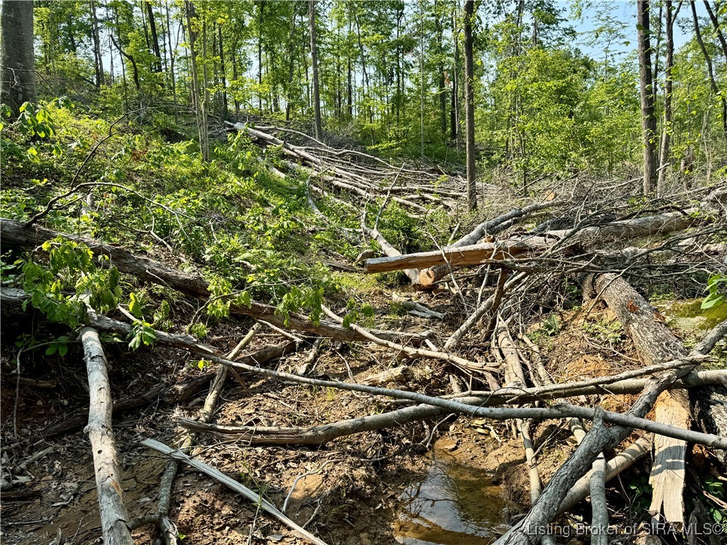 3 Co Rd 375 S French Lick, IN 47432 - Photo 18 of 26