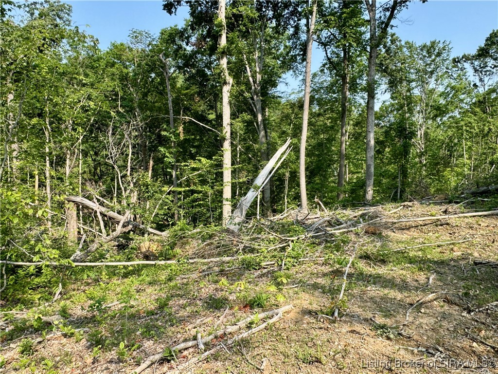 3 Co Rd 375 S French Lick, IN 47432 - Photo 20 of 26