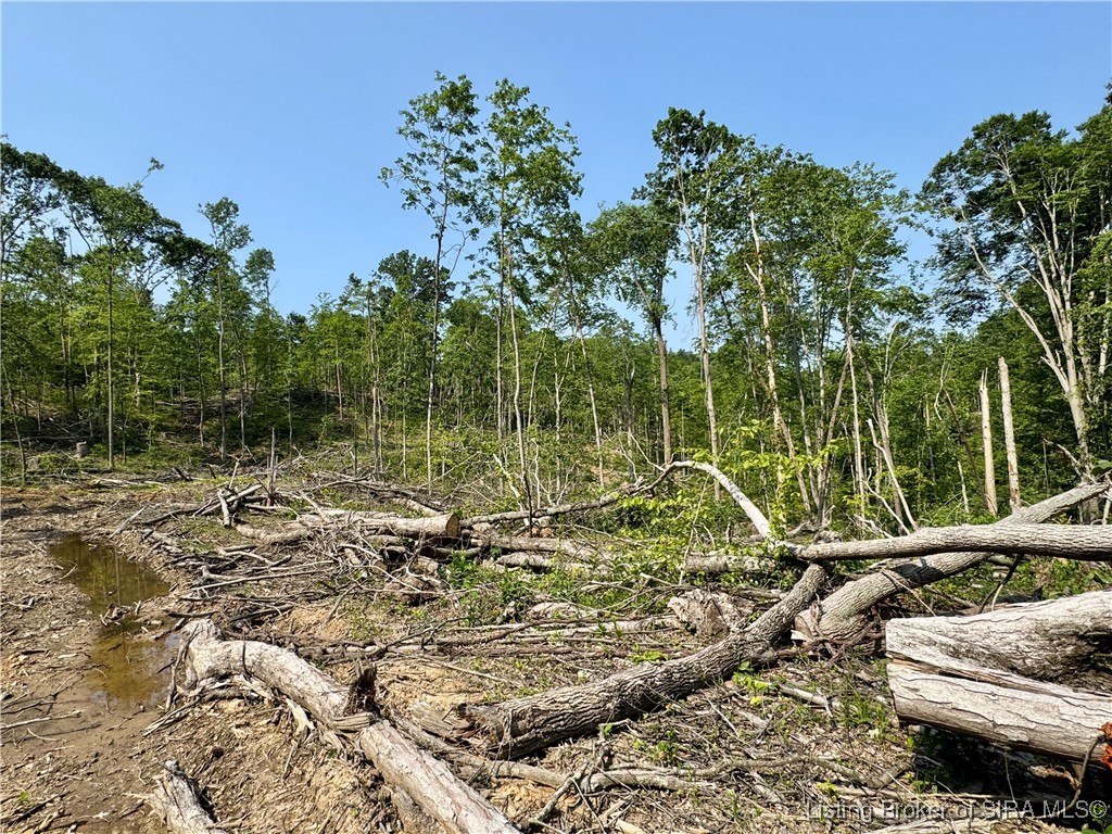 3 Co Rd 375 S French Lick, IN 47432 - Photo 22 of 26