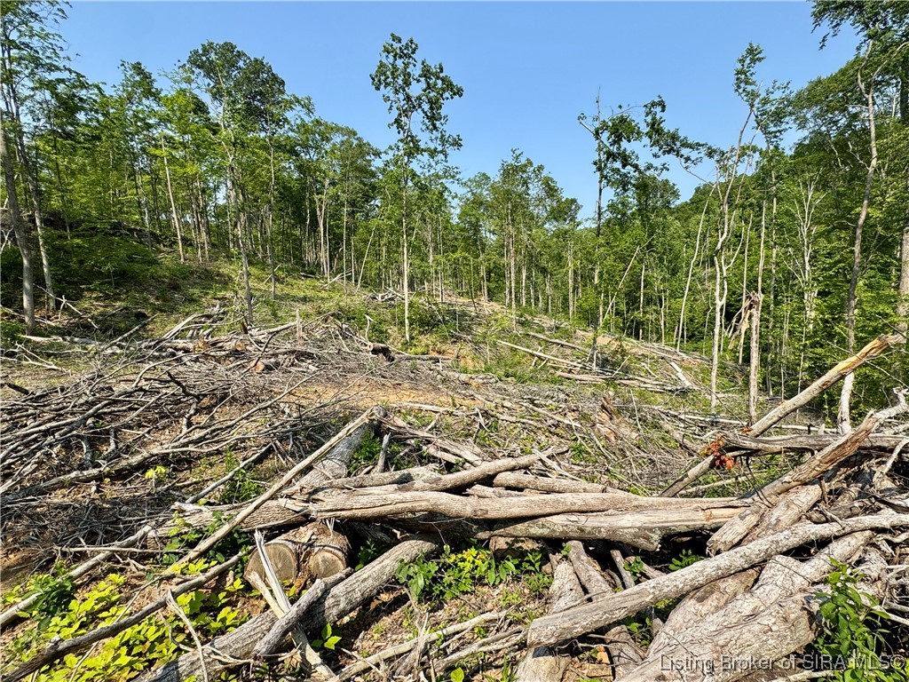 3 Co Rd 375 S French Lick, IN 47432 - Photo 24 of 26
