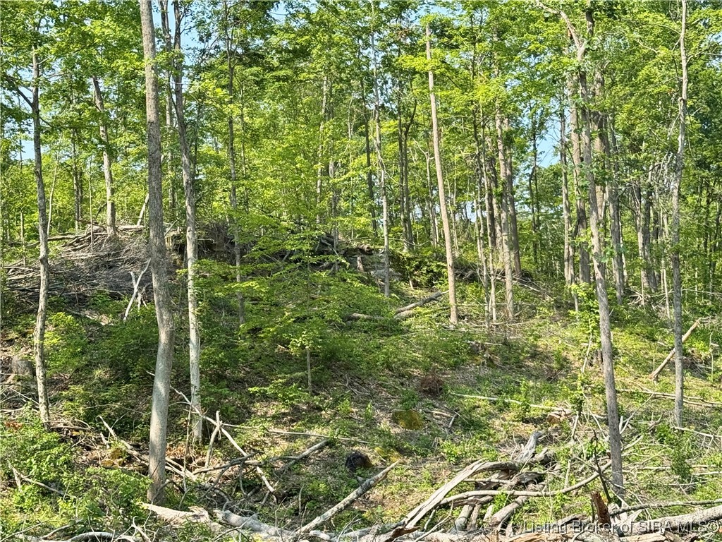 3 Co Rd 375 S French Lick, IN 47432 - Photo 25 of 26