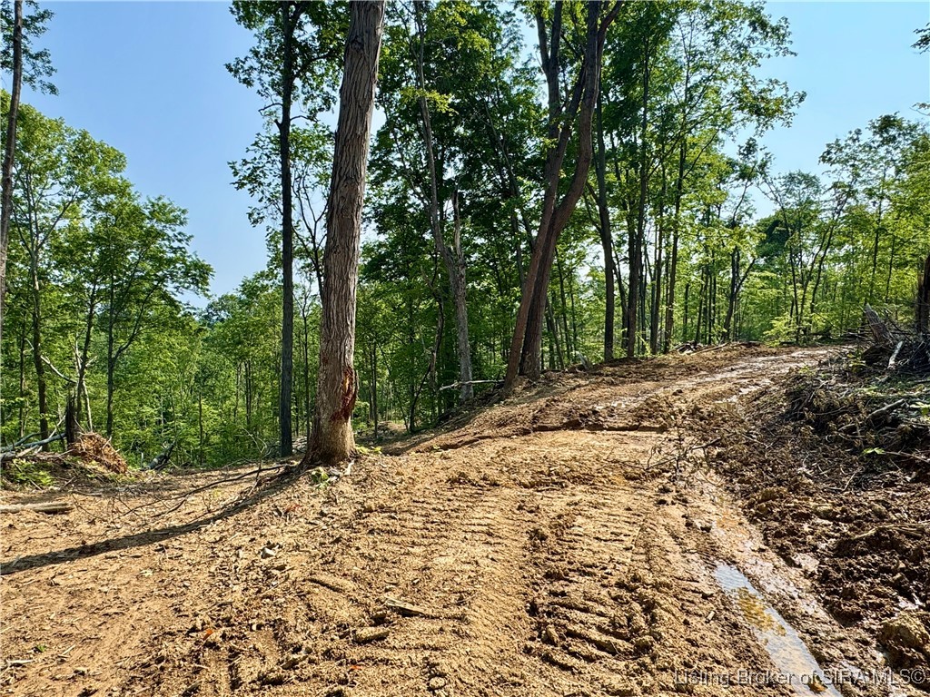 3 Co Rd 375 S French Lick, IN 47432 - Photo 5 of 26