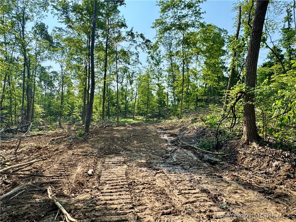 3 Co Rd 375 S French Lick, IN 47432 - Photo 6 of 26