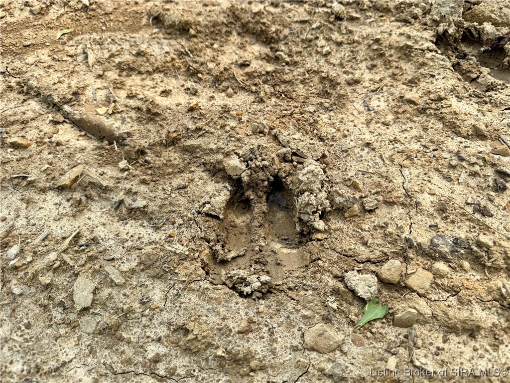 3 Co Rd 375 S French Lick, IN 47432 - Photo 8 of 26