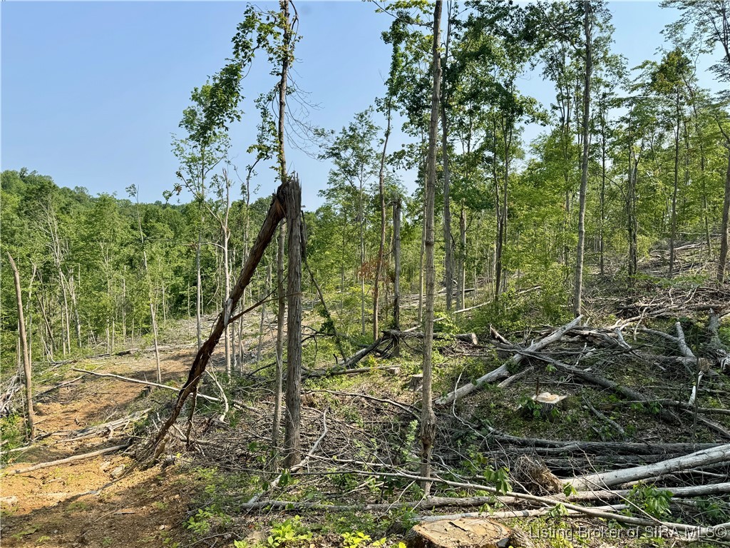 3 Co Rd 375 S French Lick, IN 47432 - Photo 9 of 26