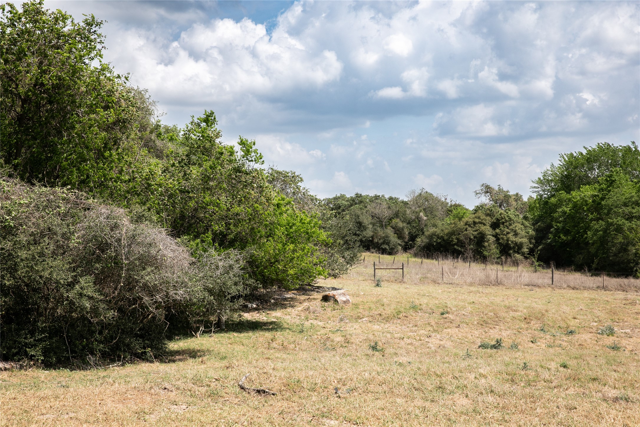 4254 FM 180 Road Ledbetter, TX 78946 - Photo 11 of 18 a view of large yard with a tree