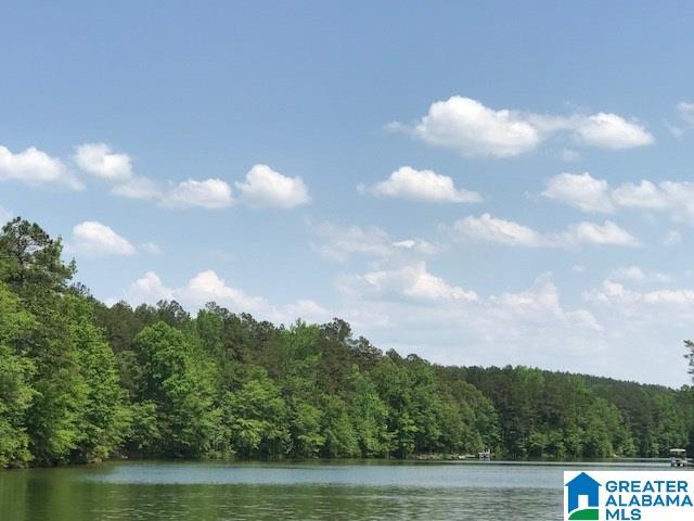 281 County Road, Unit 1 Wedowee, AL 36278 - Photo 2 of 6