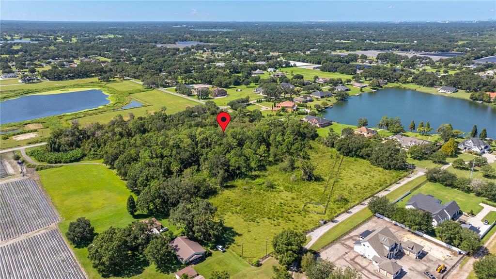 13410 Walden Sheffield Road Dover, FL 33527 - Photo 12 of 17 an aerial view of residential houses with outdoor space and swimming pool