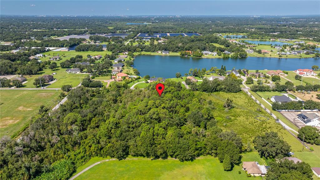 13410 Walden Sheffield Road Dover, FL 33527 - Photo 13 of 17 a view of a city