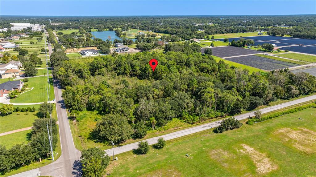 13410 Walden Sheffield Road Dover, FL 33527 - Photo 14 of 17 an aerial view of residential houses with outdoor space and trees