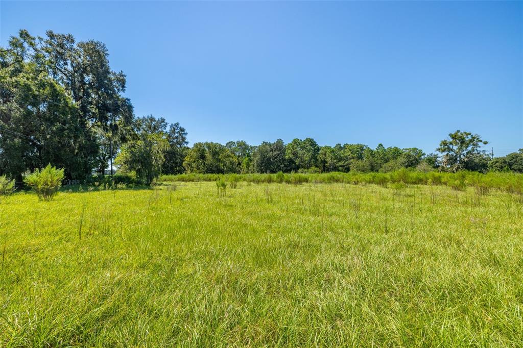 13410 Walden Sheffield Road Dover, FL 33527 - Photo 17 of 17 a view of a yard with a lake view
