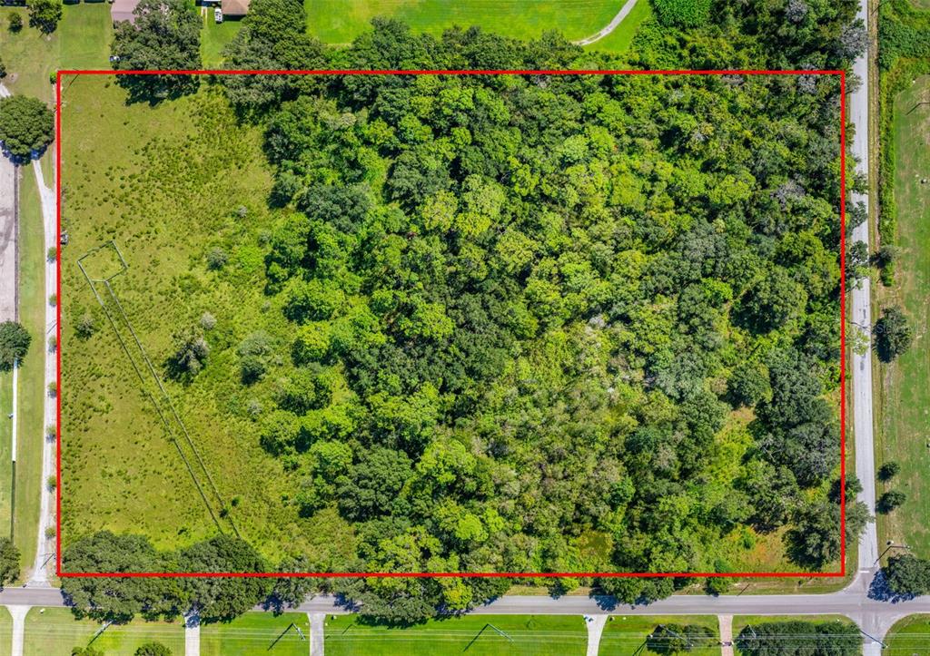 13410 Walden Sheffield Road Dover, FL 33527 - Photo 3 of 17 a view of a garden with a lot of flowers