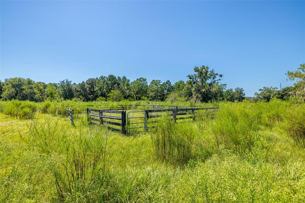 13410 Walden Sheffield Road Dover, FL 33527 - Photo 4 of 17 a view of lake with green field