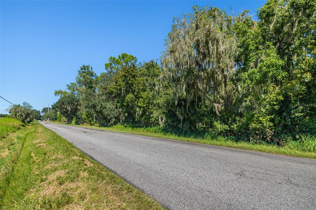 13410 Walden Sheffield Road Dover, FL 33527 - Photo 5 of 17 a view of a yard with a plant