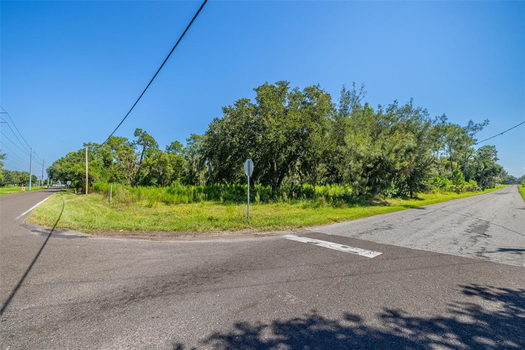 13410 Walden Sheffield Road Dover, FL 33527 - Photo 6 of 17 a view of a backyard