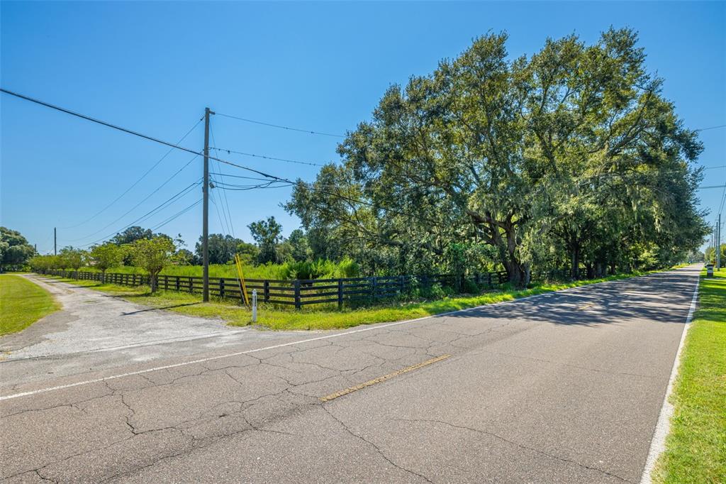 13410 Walden Sheffield Road Dover, FL 33527 - Photo 8 of 17 a view of a park with large trees