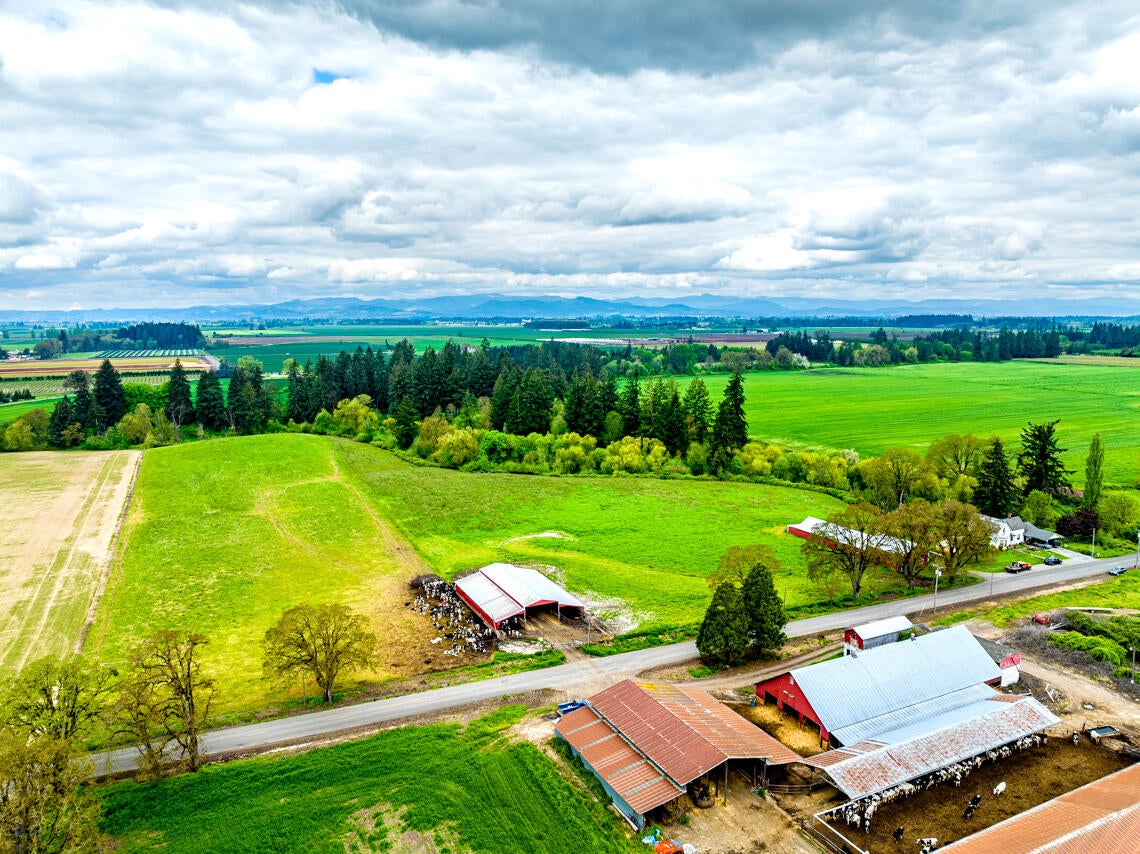 10101 Southeast Webfoot Road Dayton, OR 97114 - Photo 13 of 32 10101 SE Webfoot Rd Drone MLS 6