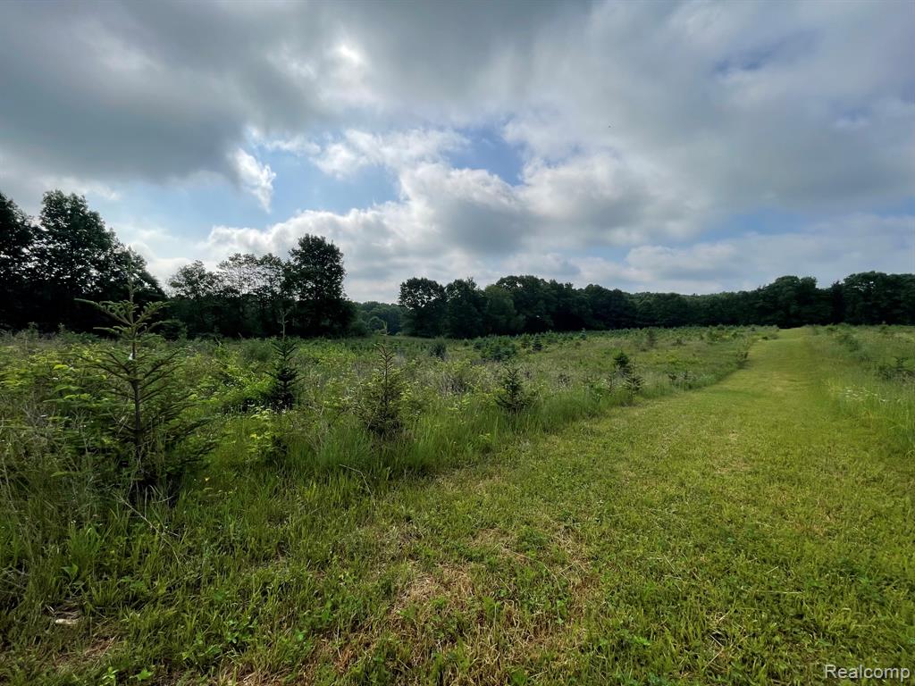 8 North Tipsico Lake Road Highland, MI 48357 - Photo 13 of 18
