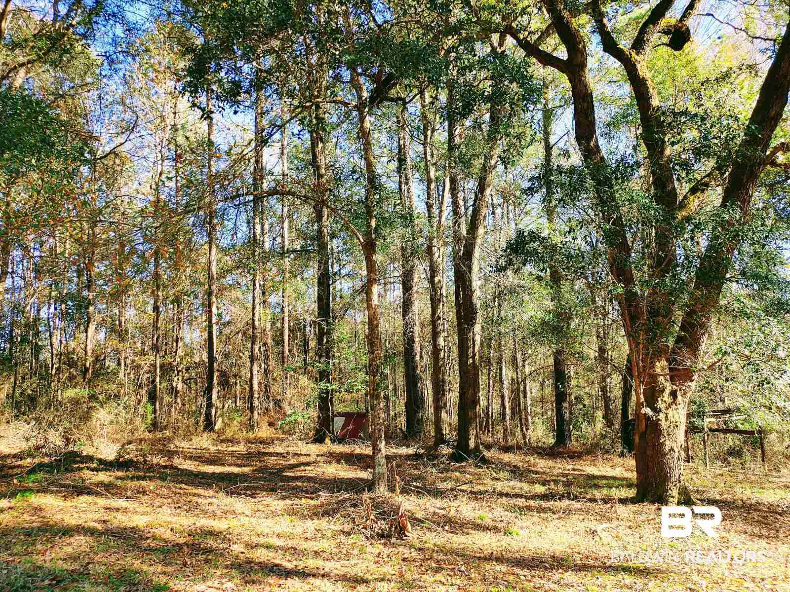 5771 Walker Springs Road Jackson, AL 36545 - Photo 42 of 46