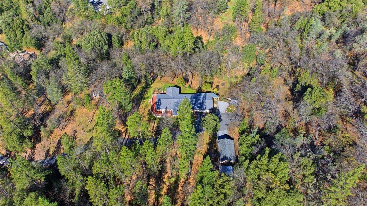 4881 China Camp Road Placerville, CA 95667 - Photo 45 of 51