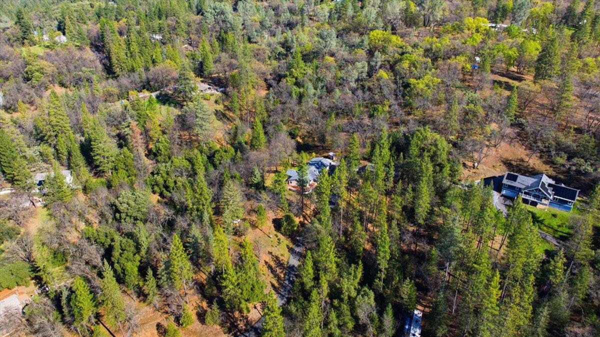 4881 China Camp Road Placerville, CA 95667 - Photo 46 of 51