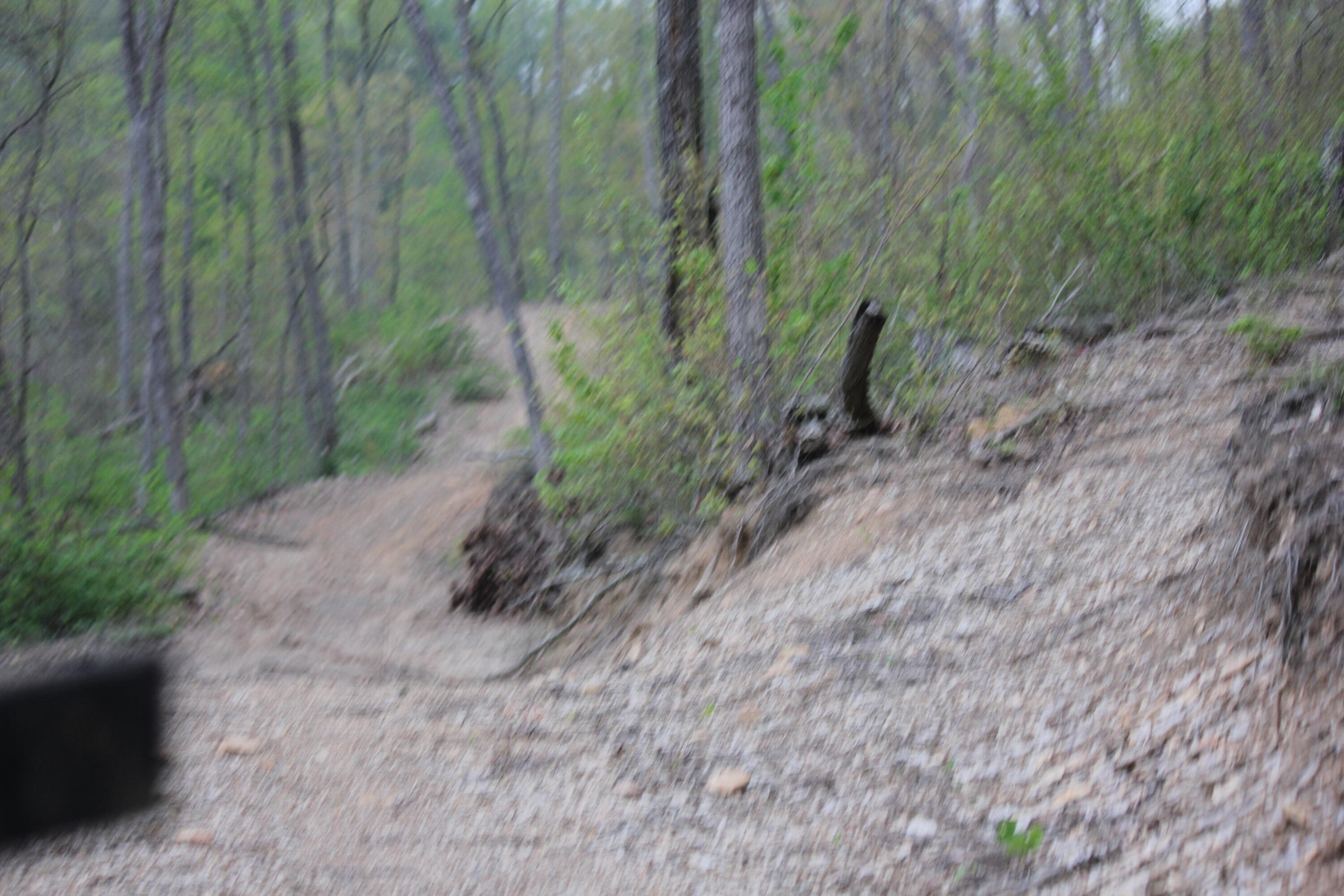 0 Routt Road Wallingford, KY 41093 - Photo 8 of 14 IMG_9441